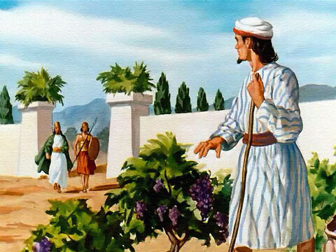 Ogromnie podekscytowany swoim nowym odkryciem król Achab udał się do właściciela winnicy, Nabota. – Slajd 6