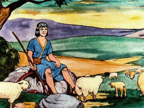Dawid był pasterzem i znaczną część swego chłopięcego życia spędził na polu, opiekując się owcami swego ojca. – Slajd 5