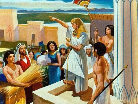 Przez siedem lat obfitych zbiorów Józef gromadził żywność w wielkich magazynach, gdyż Pan powiedział mu, że nadchodzi głód. – Slajd 33