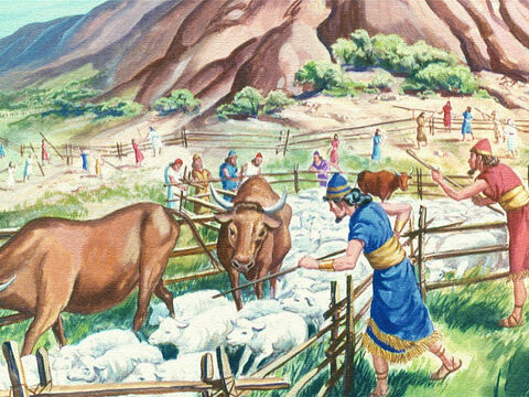 Po pierwsze, ogrodzili całe bydło, ponieważ Bóg ostrzegł, że nawet zwierzęta umrą, jeśli dotkną Świętej Góry. – Slajd 12