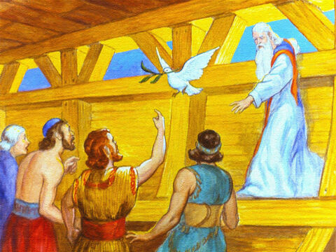 Tym razem wrócił on z gałązką oliwną. To był znak, że wody opadały i wkrótce Noe oraz jego rodzina będą mogli opuścić arkę i ponownie zamieszkać na ziemi. – Slajd 43