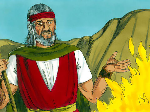 „Idź do faraona i wyprowadź mój lud z Egiptu” – nakazał Bóg. Mojżesz zaczął się tłumaczyć: „Kimże ja  jestem, żebym miał pójść do faraona i wyprowadzić synów izraelskich z Egiptu?”.<br/> – Slajd 6