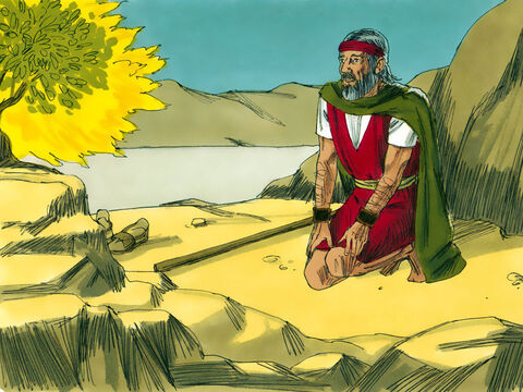 Wtedy Bóg zapytał go, co trzyma w ręce. „Laskę” – odpowiedział Mojżesz. „Rzuć ją na ziemię!” – rozkazał Bóg.<br/> – Slajd 12