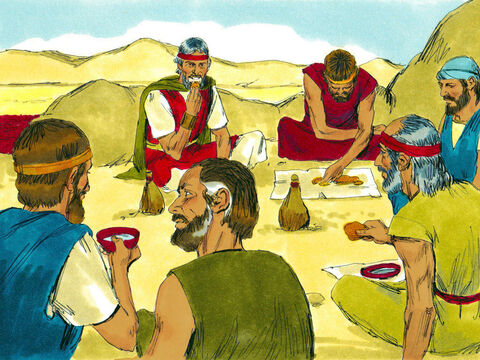 Tego wieczora przyleciało wielkie stado przepiórek i pokryło obozowisko Izraelitów. Głodni ludzie łapali je i nasycili się smacznym mięsem. – Slajd 17