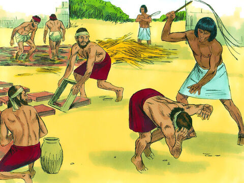 Izraelici byli wyczerpani poszukiwaniem słomy i wyrabianiem cegieł. Kiedy nie nadążali z wykonaniem wyznaczonej pracy, Egipcjanie bili przełożonych izraelskich. – Slajd 5