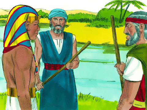 Bóg polecił Mojżeszowi i Aaronowi, aby poszli wcześnie rano nad brzeg Nilu, gdzie spotkają faraona. Mieli mu przekazać takie słowa Boga: „Wypuść mój lud, aby służył Mi na pustyni, bo jak dotąd mnie nie posłuchałeś”. – Slajd 1
