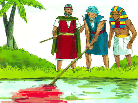 Mojżesz i Aaron zrobili tak, jak im rozkazał Pan. Aaron uderzył laską wody Nilu, a woda zamieniła się w krew. Ryby w Nilu padły, a rzeka zaczęła okropnie cuchnąć. Egipcjanie nie byli w stanie używać tej wody do picia.<br/> – Slajd 2