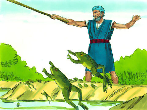 Siedem dni później Bóg polecił Mojżeszowi, aby kazał Aaronowi wyciągnąć laskę nad rzeki, kanały i rozlewiska, co sprowadziło żaby na całą ziemię egipską. – Slajd 4