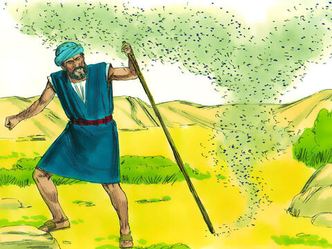 Dlatego Bóg kazał Mojżeszowi, aby polecił Aaronowi uderzyć laską proch ziemi, a pył zamienił się w komary. Tego samego próbowali dokonać czarownicy egipscy za pomocą swoich zaklęć. Kiedy im się to nie udawało, powiedzieli do faraona: „W tym musi być palec Boży”. – Slajd 9