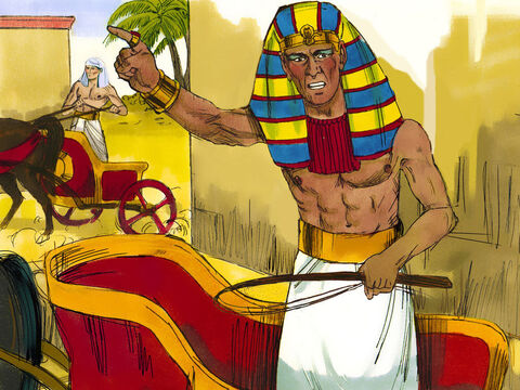 Władca Egiptu kazał zaprząc swój rydwan. Stanął na czele 600 swoich najlepszych rydwanów oraz  pozostałych wozów wojennych i puścił się w pogoń za Hebrajczykami. – Slajd 8