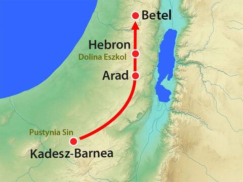 Zwiadowcy wyruszyli z Kadesz-Barnea przez pustynię Negeb, którą zamieszkiwali Amalekici. – Slajd 5
