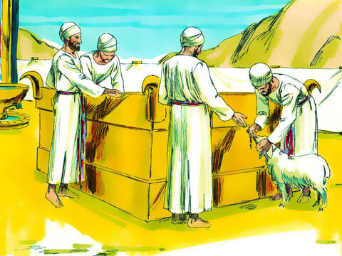 Na ołtarzu składano ofiary ze zwierząt – samców bez skazy – cieląt, owiec, kóz (lub ptaków, jeśli ofiarodawca był biedny). Osoba, która przynosiła zwierzę, miała na nim położyć swoją rękę, aby pokazać, że składa je, by pojednać się z Bogiem (Kapłańska 1:4). – Slajd 22
