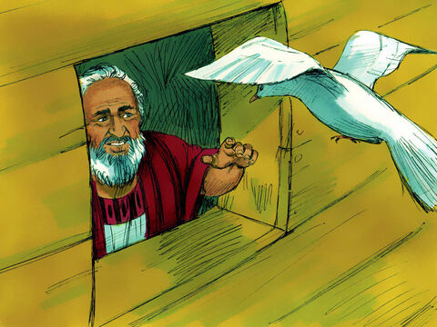 Gołębica jednak nie znalazła miejsca na spoczynek i wróciła do arki. Noe wyciągnął rękę, chwycił gołębicę i ponownie umieścił ją w arce. – Slajd 17