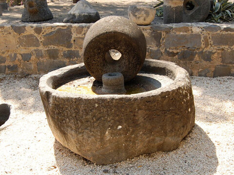 To jest okrągła prasa z kamieniem młyńskim z czarnego bazaltu, z czasów biblijnych, a znaleziona w Kafarnaum. – Slajd 12