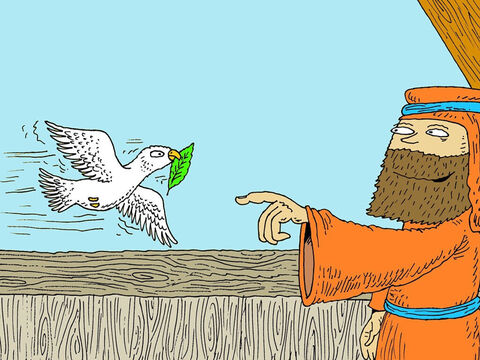 Siedem dni później Noe ponownie wysłał gołębicę i tym razem wróciła ona niosąc w dziobie gałązkę oliwną. Siedem dni później znowu wypuścił gołębicę. Tym razem nie wróciła. Noe podniósł dach arki i zobaczył suchy ląd. – Slajd 22