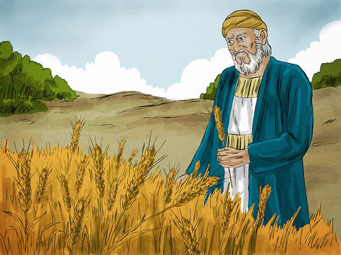 Potem Jezus opowiedział przykład: „Bogaty człowiek miał żyzne pole, z którego zebrał duże plony. Jego stodoły były przepełnione – nie mógł już w nich zmieścić większej ilości zboża”. – Slajd 3