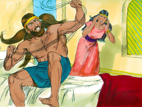 Przywódcy filistyńscy przynieśli Dalili siedem nowych cięciw, które jeszcze nie wyschły, a ona związała Samsona. Jego przeciwnicy czyhali w jej wewnętrznej komnacie, a ona zawołała: „Samsonie, Filistyni nadchodzą!” Wtedy Samson rozerwał cięciwy, jakby były to nadwątlone przez ogień lniane sznurki. – Slajd 5
