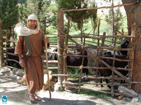 Laska służyła do prowadzenia owiec i chronienia ich przed niebezpieczeństwem. Psalm 23 mówi o tym, że laska i kij pasterza pocieszają owce. – Slajd 6
