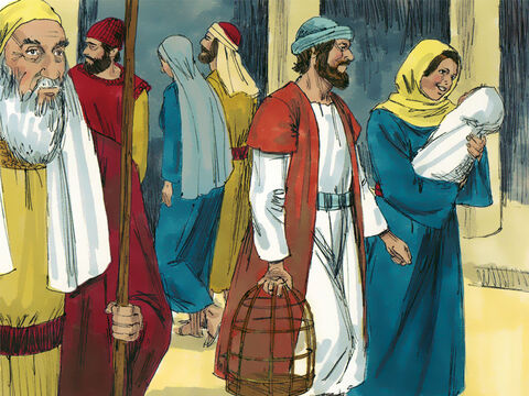 Maria i Józef wrócili do domu. Chłopiec zaś rósł, nabierał sił i stawał się coraz mądrzejszy, a Bóg nieustannie mu błogosławił. – Slajd 8