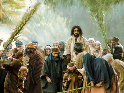 Jezus wjeżdża do Jeruzalem na osiołku, a tłum wita Go z gałązkami palmowymi i woła: „Hosanna!”. Wydarzenie to wspominamy w Niedzielę Palmową. (Mateusza 21:1-11, Marka 11:1-11, Łukasza 19:28-44, Jana 12:12-17) – Slajd 8