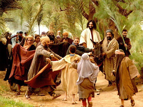 Jezus wjeżdża do Jeruzalem na osiołku, a tłum wita Go z gałązkami palmowymi i woła: „Hosanna!”. Wydarzenie to wspominamy w Niedzielę Palmową. (Mateusza 21:1-11, Marka 11:1-11, Łukasza 19:28-44, Jana 12:12-17) – Slajd 10