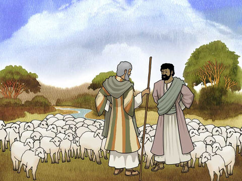 Bóg błogosławił Abrama oraz jego siostrzeńca Lota i dał im wielkie stada zwierząt. Jednak tam, gdzie przebywali, nie było wystarczająco dużo miejsca, aby mogli obozować obok siebie i wykarmić swoje stada. Dlatego Abram powiedział do Lota: „Nie dopuśćmy do kłótni między naszymi pasterzami”. – Slajd 4
