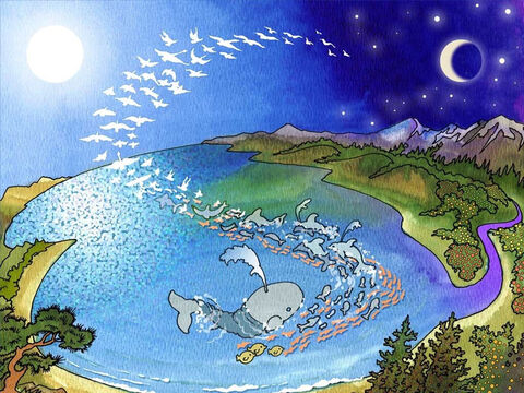 Bóg stworzył też wszystkie gatunki ptaków. Potem pobłogosławił je i powiedział: „Rozradzajcie się i rozmnażajcie! Napełniajcie morza i ziemię!”. Widząc swoje dzieło stworzenia, Bóg ponownie uznał je za dobre. – Slajd 10