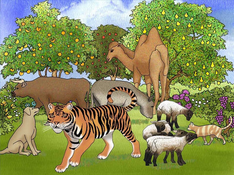 Szóstego dnia Bóg powiedział: „Niech ziemia zrodzi różne żywe istoty: bydło, zwierzęta pełzające i polne”. I tak się stało. Pojawiły się różne zwierzęta dzikie, bydło i zwierzęta pełzające. A Bóg zobaczył, że to było dobre. – Slajd 11