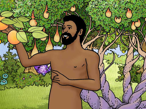 Bóg powiedział do Adama: „Z każdego drzewa tego ogrodu możesz jeść owoce, ale z drzewa poznania dobra i zła nie wolno ci jeść, bo gdy tylko zjesz z niego, na pewno umrzesz”. – Slajd 2