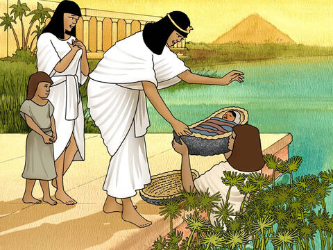 W pewnej chwili córka faraona przyszła ze swoimi służącymi, aby wykąpać się w Nilu. Zauważyła pośród sitowia kosz i kazała go przynieść jednej ze służących. Kiedy zobaczyła płaczące dziecko, wzruszyła się i powiedziała: „To jedno z tych hebrajskich dzieci”. Miriam, siostra chłopca, widząc to, wyszła z ukrycia i zapytała księżniczkę Egiptu: „Czy mam pójść i znaleźć jakąś hebrajską mamkę, która będzie dla ciebie karmiła to dziecko?”. „Tak” – odpowiedziała księżniczka. Miriam pobiegła i zawołała matkę chłopca  (Wyjścia 2:5–8) – Slajd 5