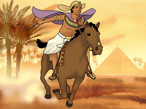 Ktoś jednak widział to zdarzenie. Kiedy wiadomość o tym dotarła do faraona, ten chciał zabić Mojżesza. Mojżesz musiał uciekać ze swojego domu i opuścić swoje rodzinne strony. W wieku około czterdziestu lat podróżował samotnie do odległej krainy, aby ukryć się przed faraonem (Wyjścia 2:13–15). – Slajd 8