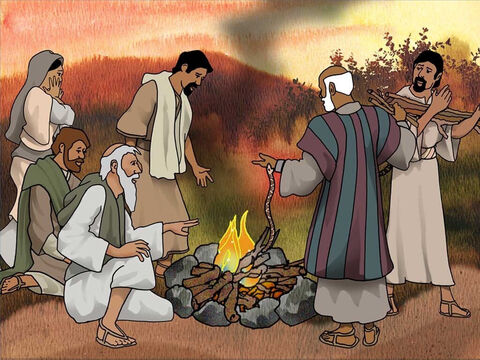 Mieszkańcy Malty powitali załogę rozbitego statku, przygotowali ognisko i jedzenie. Paweł pomagał zbierać drewno na ognisko. Nagle wypełzła żmija i ukąsiła go w rękę. Bóg jednak nie pozwolił, aby jego trucizna zabiła Pawła. – Slajd 9