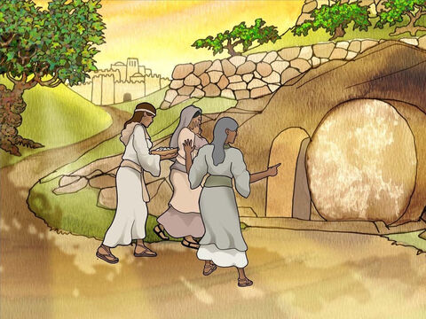 Do grobu poszło kilka kobiet, które wcześniej towarzyszyły Jezusowi. Kobiety kupiły aromatyczne olejki i chciały namaścić ciało Jezusa. W drodze zastanawiały się nad tym, kto im odsunie kamień od wejścia do grobowca. Gdy przyszły do grobu, zobaczyły, że kamień  był odsunięty. W środku nie było jednak ciała Jezusa (por. Marka 16:1–4). – Slajd 4